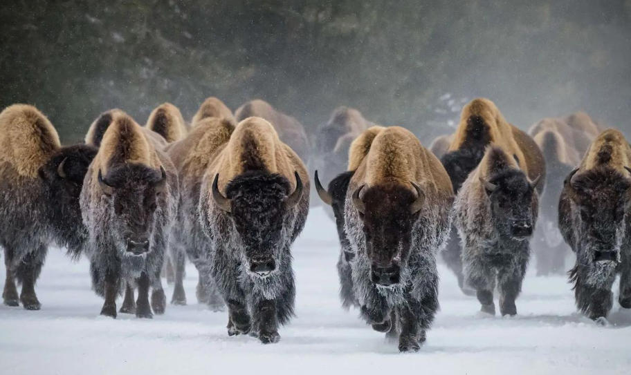 北京明宇塑料焊接中心轮播图2